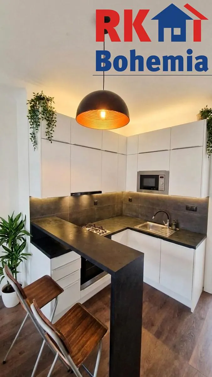 Pronájem bytu 1+1 42 m²